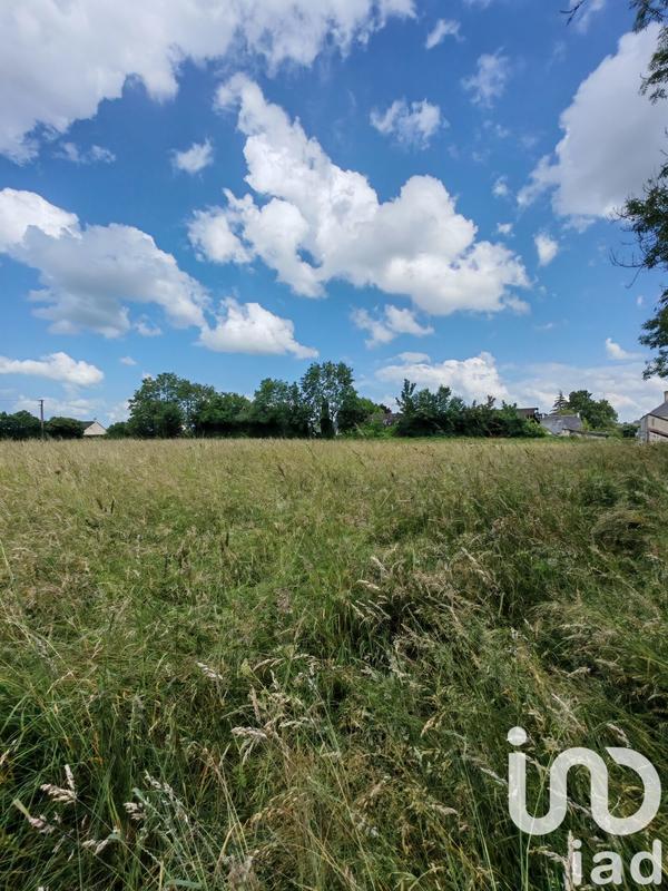 Terrain - 31 982 m²