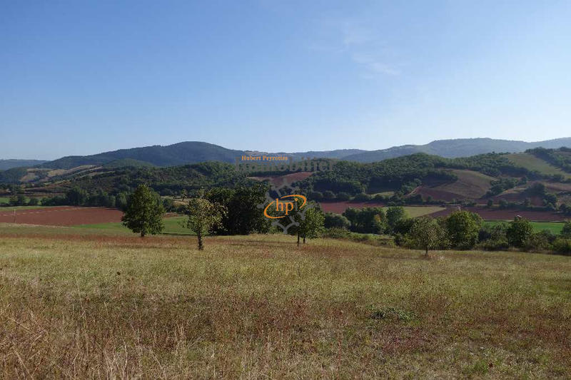 Propriété - 40 m² - 1 pièce