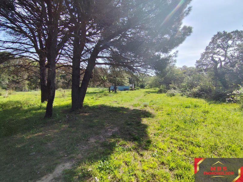 Terrain agricole - 7 855 m²