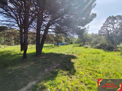 Terrain agricole - 7 855 m²