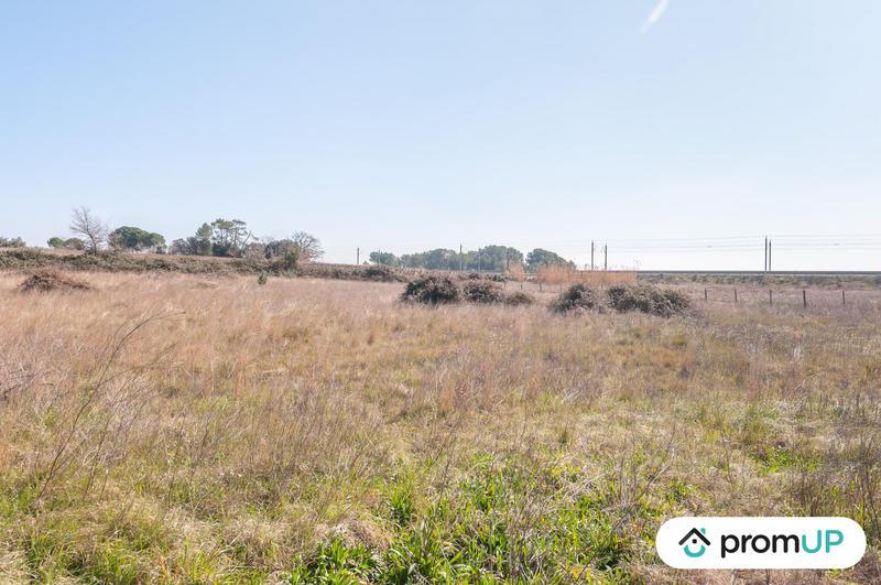 Terrain agricole - 5 000 m²