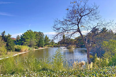 Appartement - 36 m² - 2 pièces