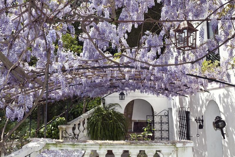 Maison - 900 m² - 20 pièces