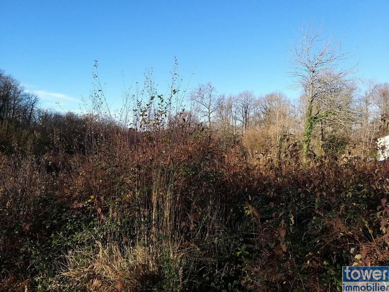 Terrain - 2 640 m²