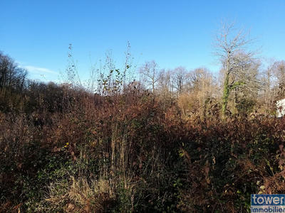 Terrain - 2 640 m²