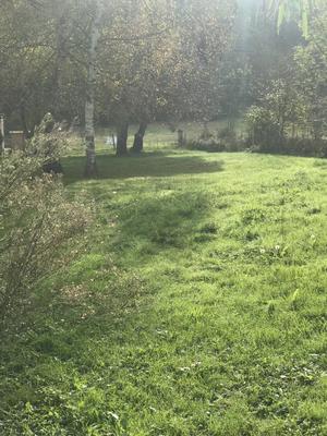 Terrain constructible - 1 197 m²