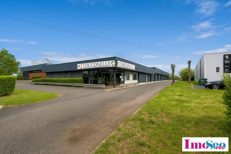 Local d'activité / Entrepôt - 3 350 m²