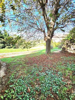 Maison - 207 m² - 7 pièces