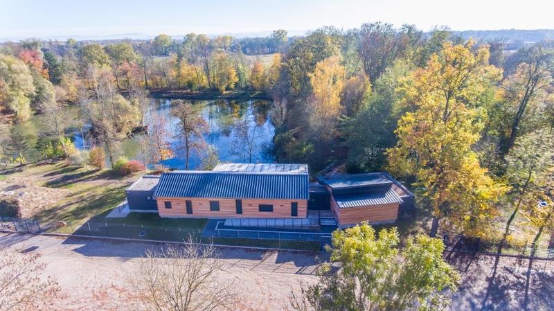 Journée carpes frites