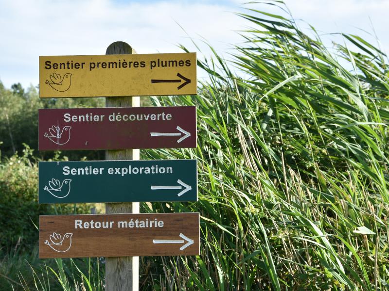 Samedi comptage à Terres d'Oiseaux