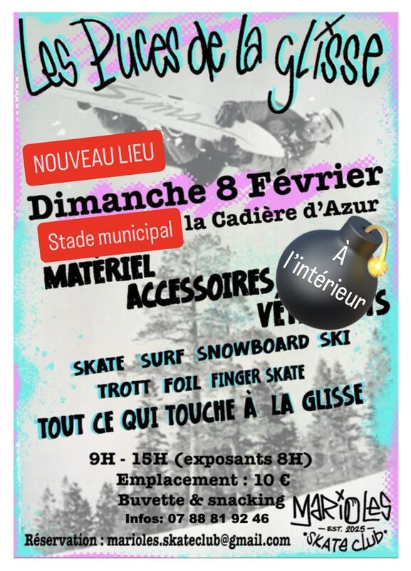 Les puces de la glisse