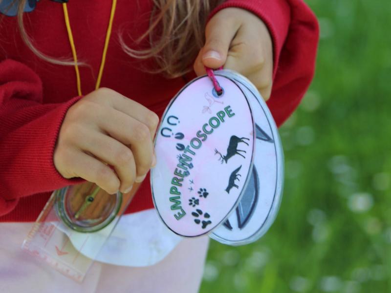 Création d'un empreintoscope à Terres d'Oiseaux