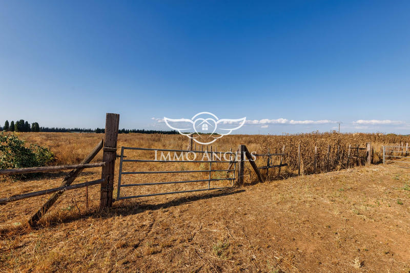 Mas - 575 m² - 21 pièces