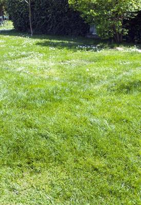 Terrain constructible - 238 m²