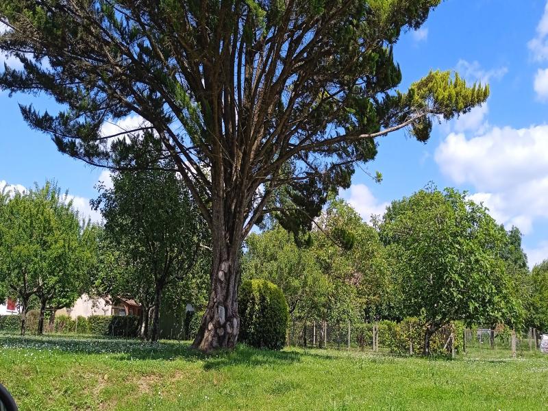 Terrain constructible - 1 740 m²