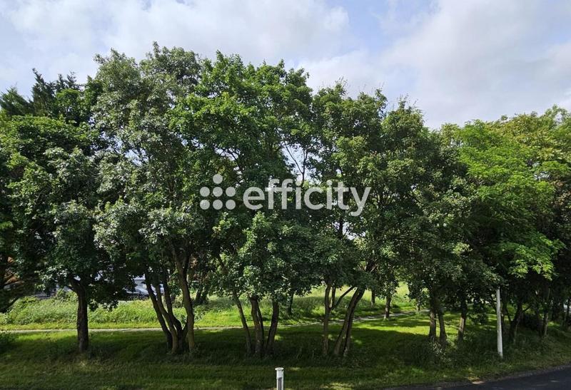 Appartement - 34 m² - 2 pièces