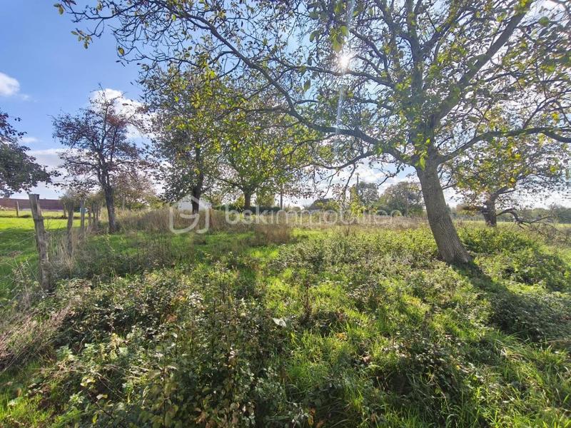 Terrain constructible - 1 113 m²