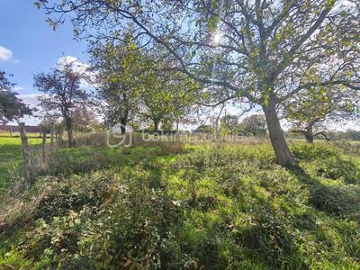 Terrain constructible - 1 113 m²