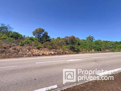 Terrain constructible - 5 000 m²