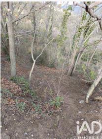 Terrain - 65 360 m²