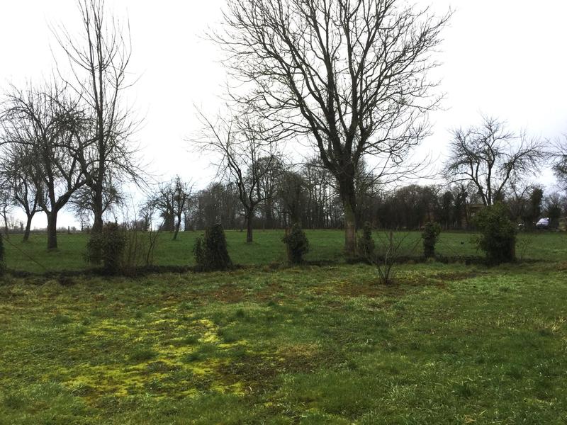 Maison ancienne - 74 m² - 2 pièces