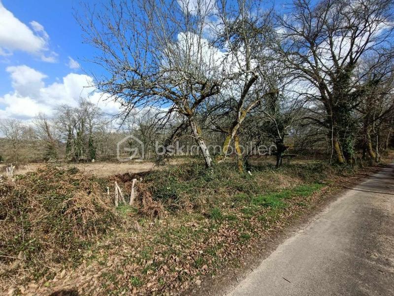 Terrain industriel - 1 633 m²