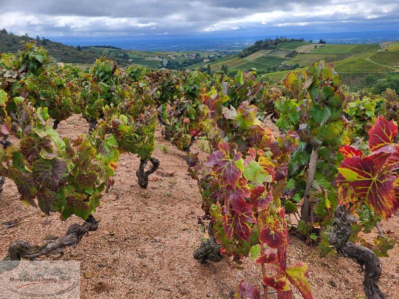 Terrain agricole - 27 297 m²