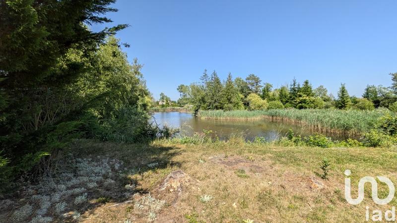 Terrain - 20 000 m²