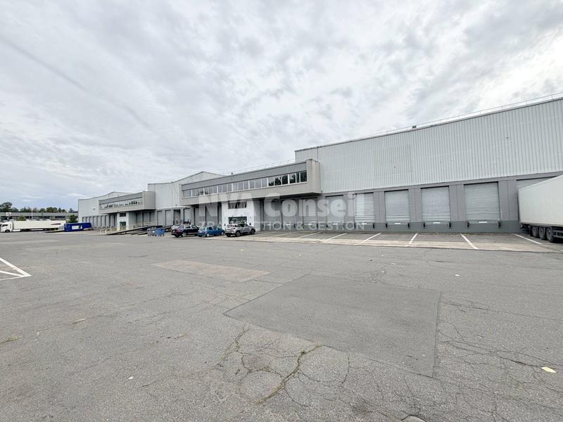 Entrepôt - 2 779 m²