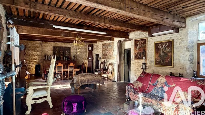 Château - 394 m² - 10 pièces