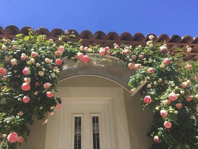 Villa - 164 m² - 4 pièces