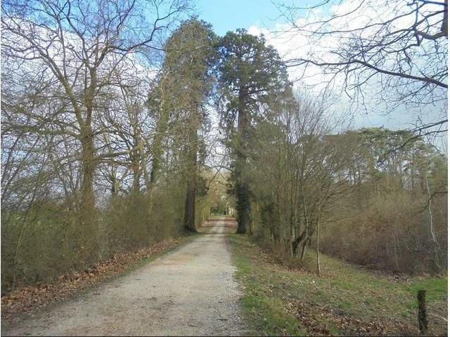 Château - 800 m² - 20 pièces