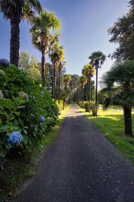 Propriété - 650 m² - 8 pièces