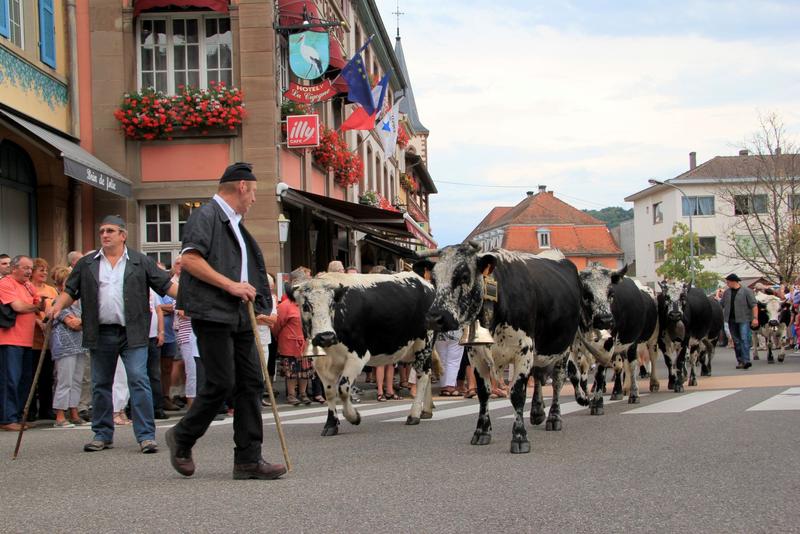 Fête de la transhumance et de la tourte
