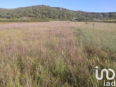 Terrain agricole - 39 168 m²