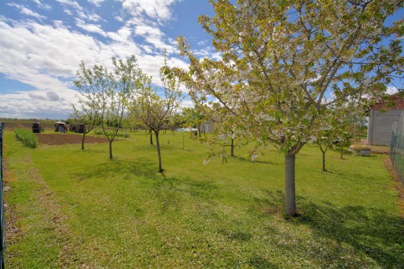 Maison - 166 m² - 6 pièces