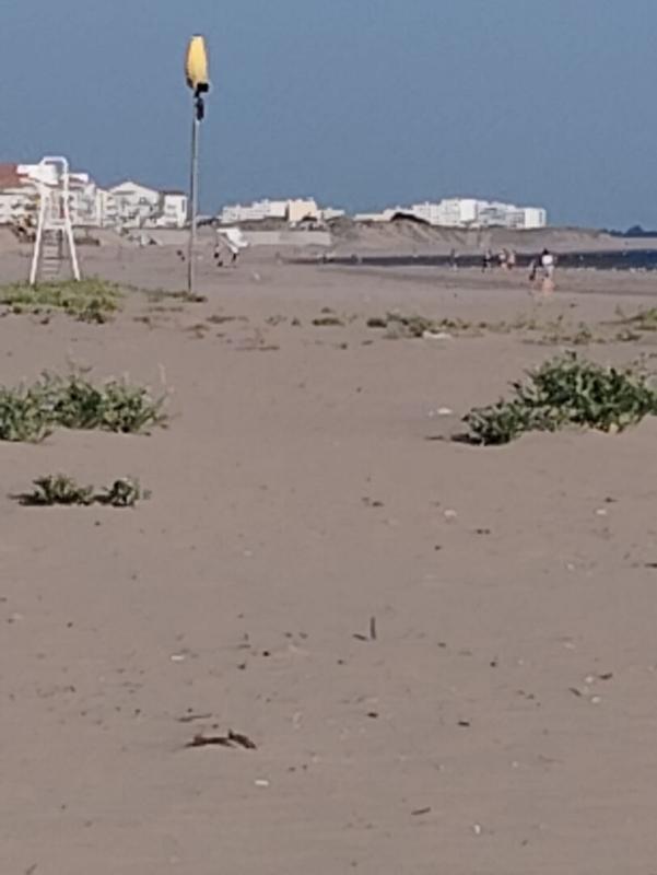 Appartement - 34 m² - 2 pièces