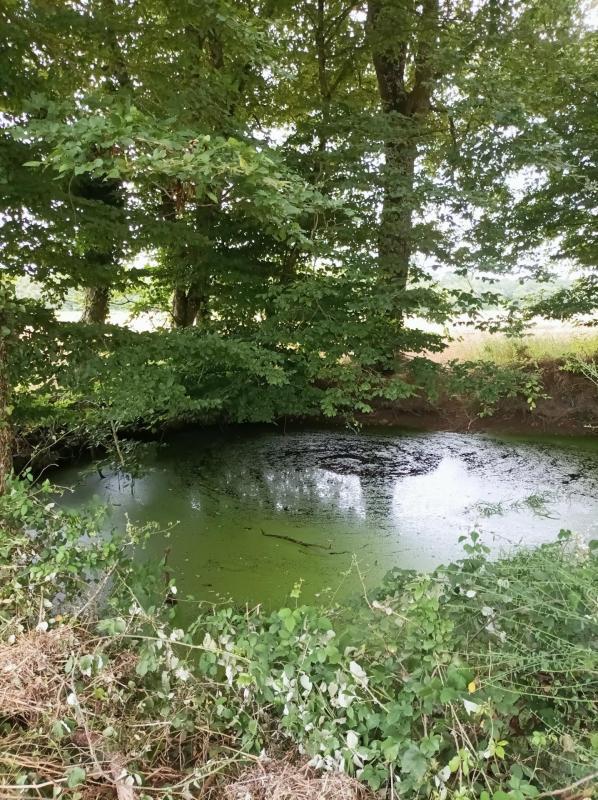 Maison de campagne - 48 m² - 3 pièces