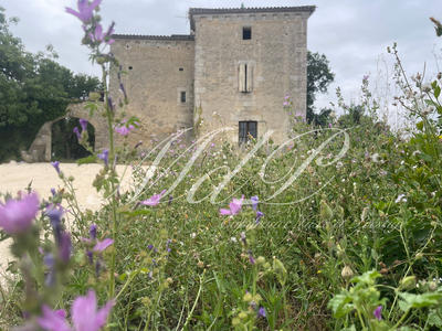 Maison - 338 m² - 10 pièces