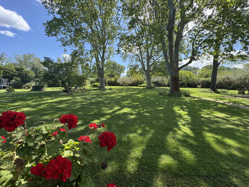 Propriété - 1 000 m² - 1 pièce