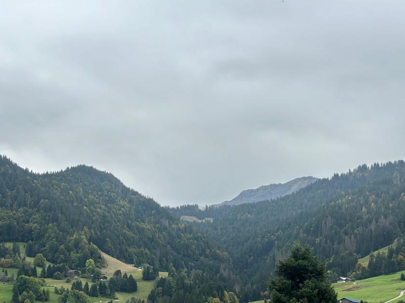 Châlet - 260 m² - 11 pièces