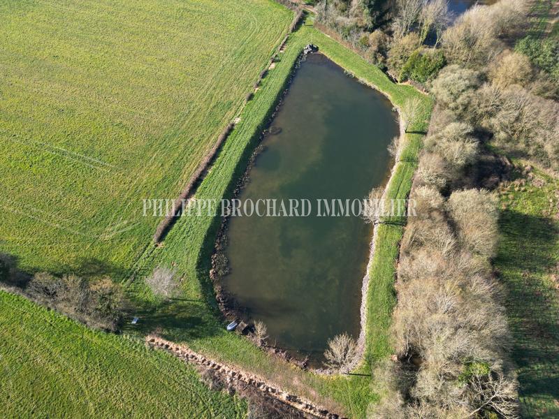 Terrain de loisirs - 6 000 m²