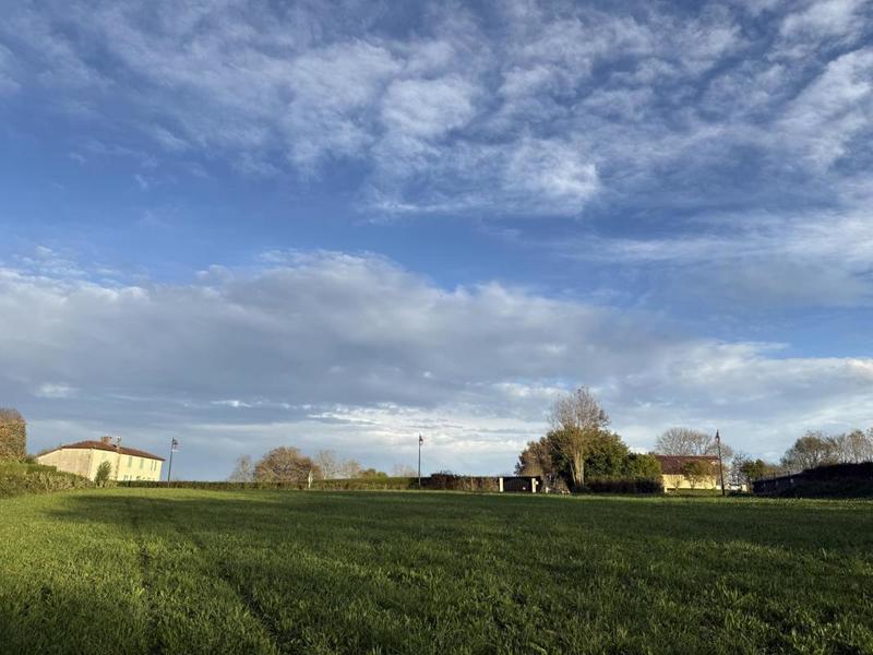 Terrain - 15 500 m²