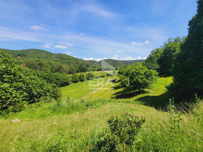 Maison - 250 m² - 10 pièces