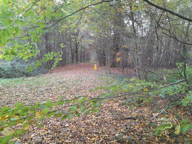 Propriété - 462 m² - 13 pièces