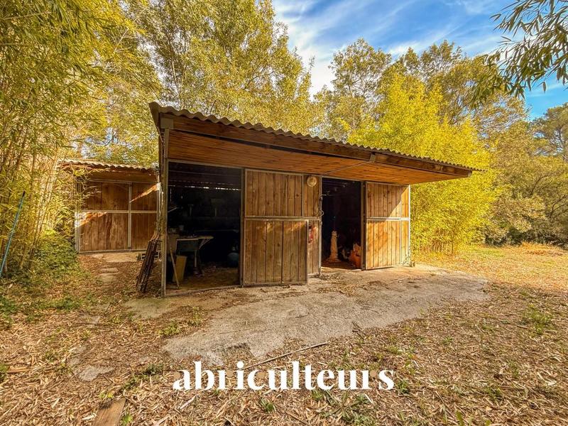 Maison ancienne - 300 m² - 8 pièces