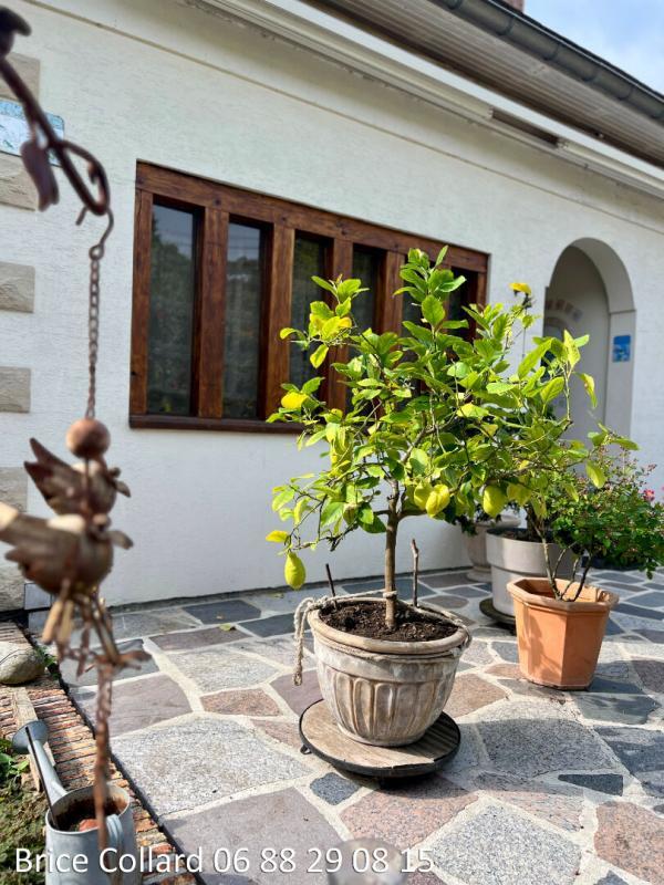 Maison - 160 m² - 8 pièces