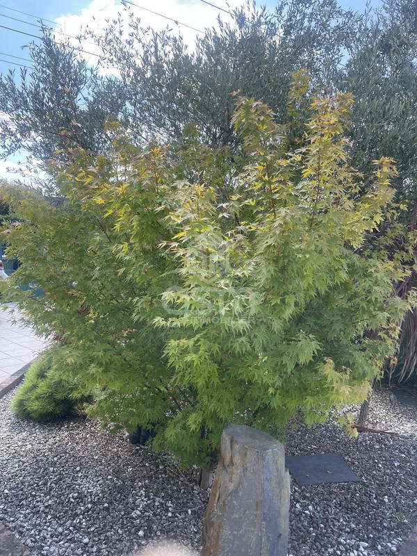 Maison - 120 m² - 7 pièces