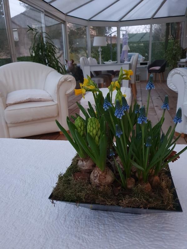 Demeure - 680 m² - 17 pièces