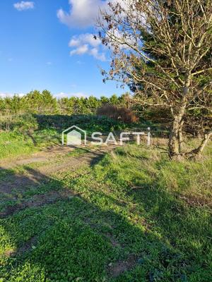 Terrain industriel - 4 900 m²